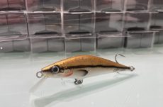 D Contact - Black Nose Dace 8cm