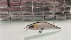 D Contact - Rainbow Smelt 8cm