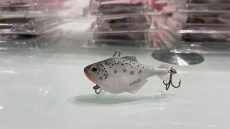 Creek Trout Chubby 6cm