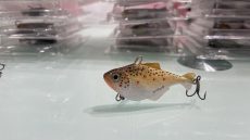 Brown Trout Chubby 6cm