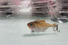 Brown Trout Chubby 6cm