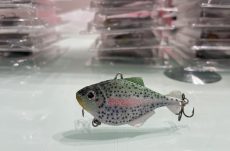 Rainbow Trout Chubby 6cm