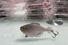 Whitefish Chubby 6cm