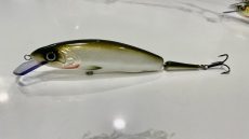 Tracker - Whitefish 18cm