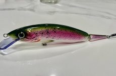 Tracker - Rainbow Trout 18cm