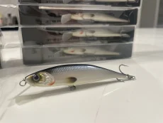 M Contact "SPECIAL EDITION" - Whitefish 9cm