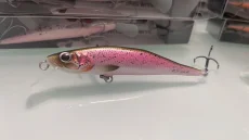 M Contact "SPECIAL EDITION" - Rainbow Trout 9cm