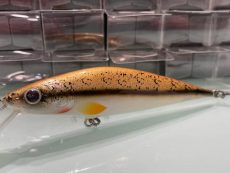 D Contact - Black Nose Dace 12cm