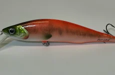 D Contact Special Edition