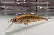 D Contact - Brown Trout 10cm