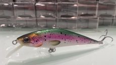 D Contact - Rainbow Trout 10cm