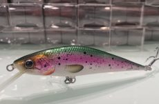 D Contact - Rainbow Trout 10cm