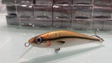 D Contact - Black Nose Dace 10cm