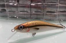 D Contact - Black Nose Dace 10cm