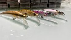 M Contact Special Edition