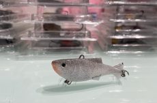 Whitefish Classico 6cm