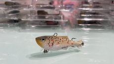 Brown Trout Classico 6cm