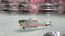 Rainbow Trout Classico 6cm