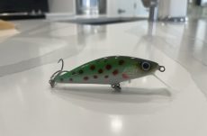 C4 - Rainbow Trout 7.8cm