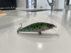 C4 - Rainbow Trout 7.8cm