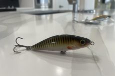 C4 - Striped Minnow 7.8cm