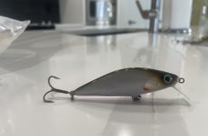 C4 - Whitefish 7.8cm