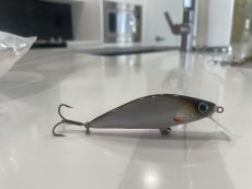 C4 - Whitefish 7.8cm