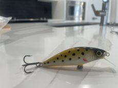 C4 - Brown Trout 7.8cm
