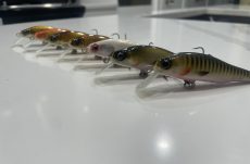 Goby Minnow Series
